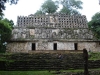die pyramiden von yaxchilan mitten im jungel an der grenze zu guatemala